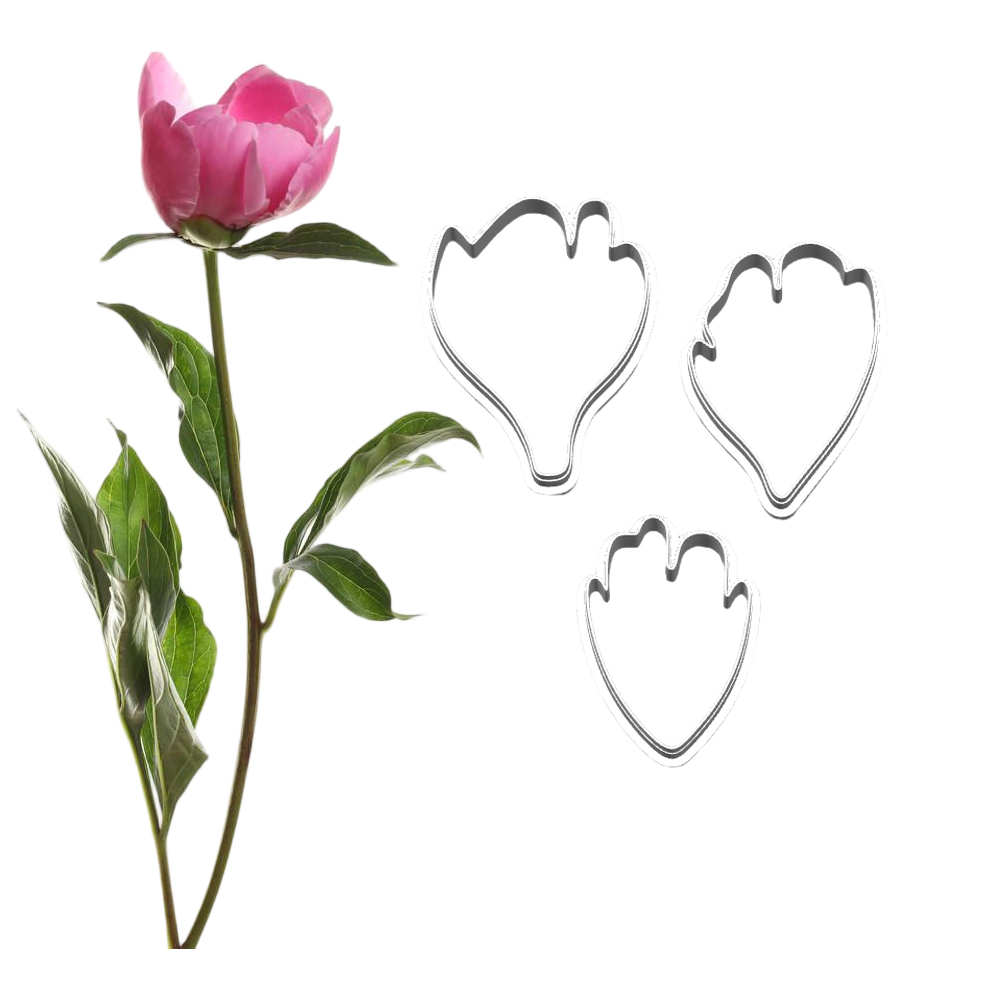 New Peony Silicone Molds&Cutte - Candle Making Workshop บทวิจารณ์และราคา