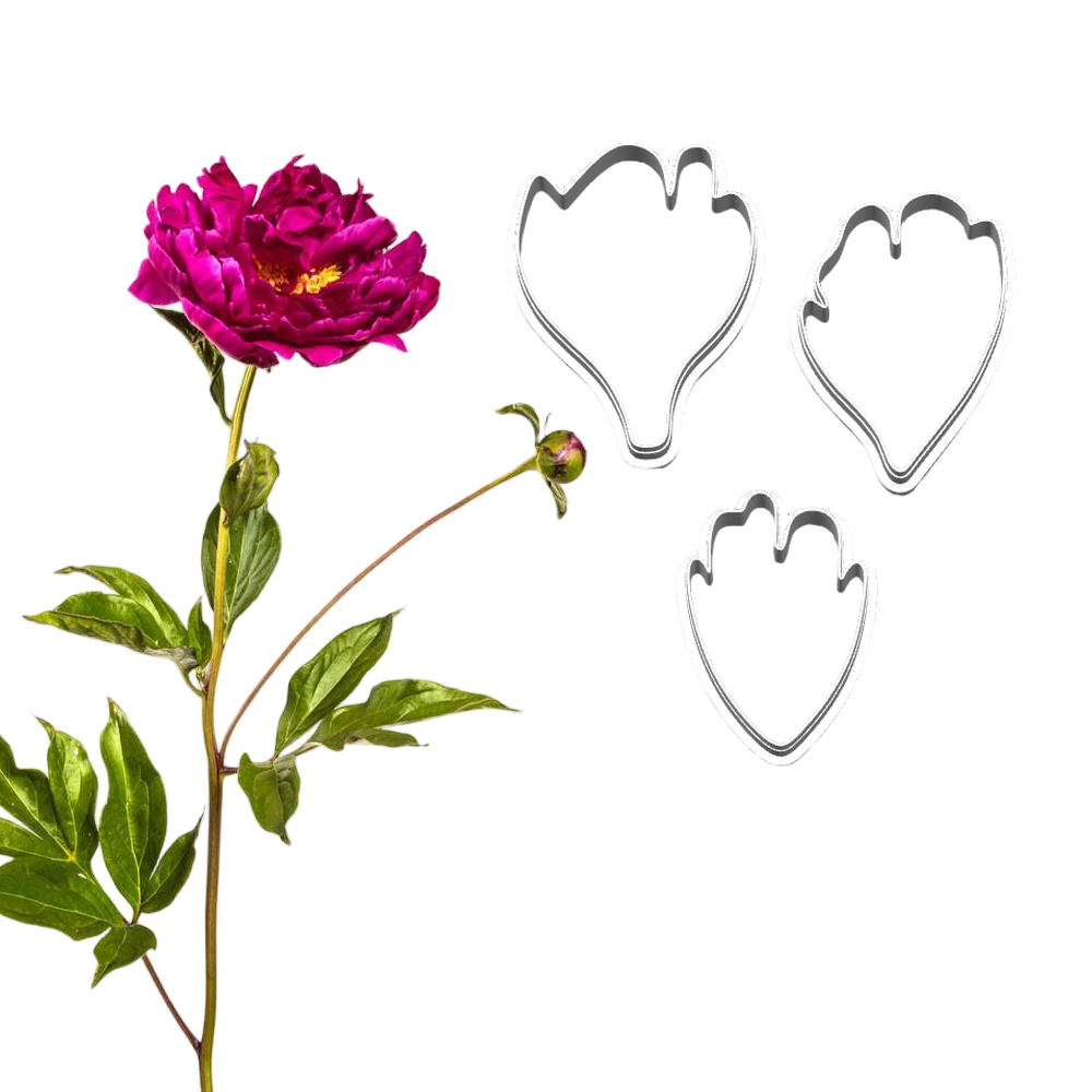 New Peony Silicone Molds&Cutte - Candle Making Workshop บทวิจารณ์และราคา